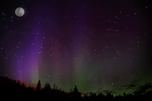 aurora subtly animated